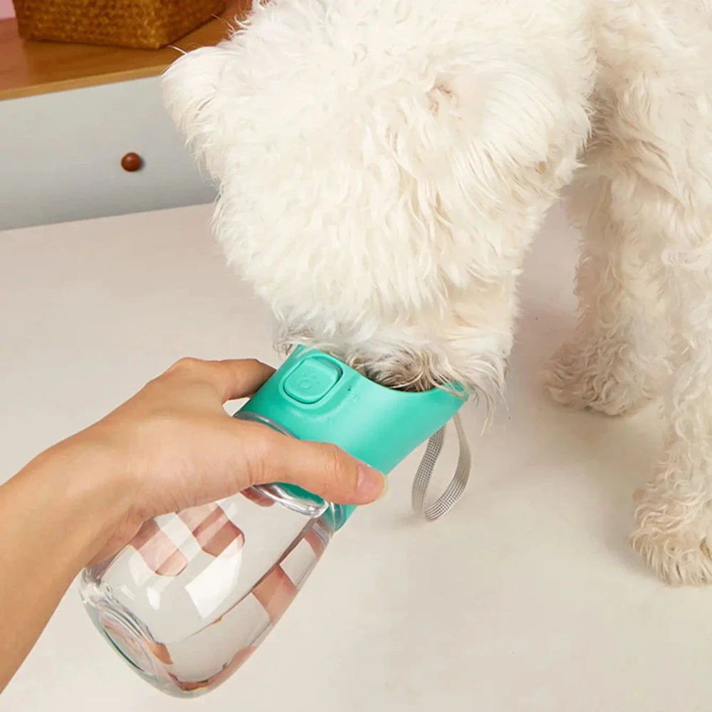 Portable Pet Water Dispenser
